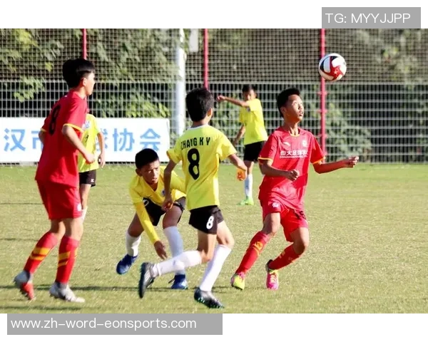 茵宝足球裤助力运动激情展现个性风采的完美选择