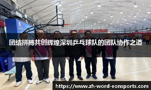 团结拼搏共创辉煌深圳乒乓球队的团队协作之道